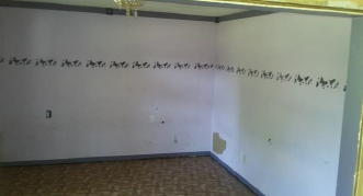 1104 Sandersville Heidelberg RdSandersville, MS, 39477Jones County