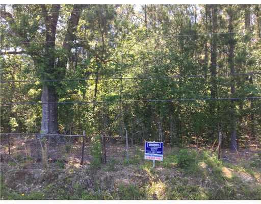000Borzik Rd, Saucier, MS 39574