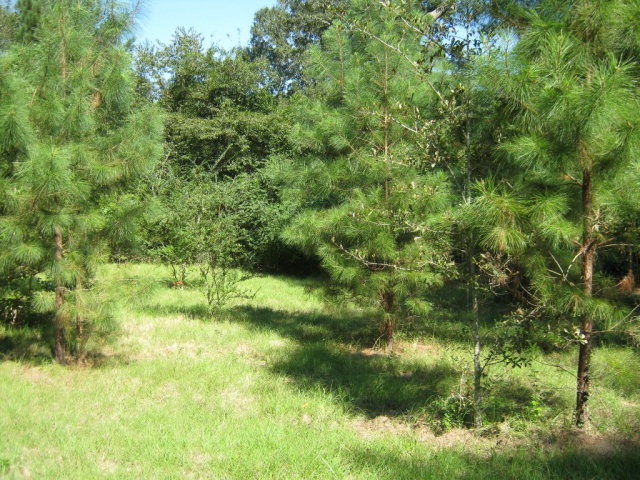 333 Dalhart Lane, Bogue Chitto, MS 39629
