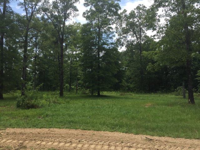 025 Old Highway 27N, Monticello, MS 39654
