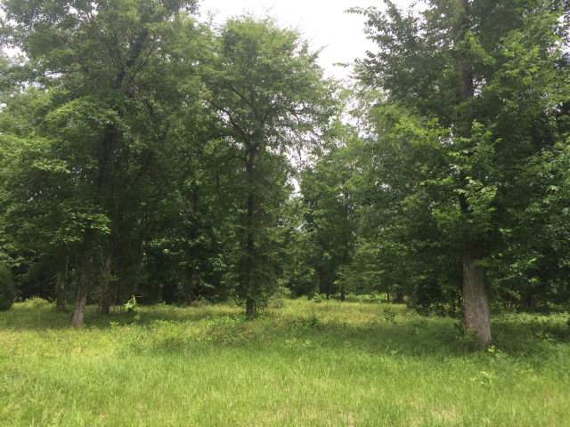 025 Old Highway 27N, Monticello, MS 39654