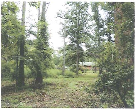 96 Glenn LnStarkville, MS, 39759Oktibbeha County