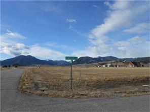 53 Starlight Dr, Red Lodge, MT 00000