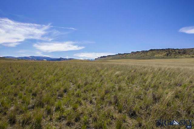Lot 1 Buena Vista Subdivision, Clyde Park, MT 59018