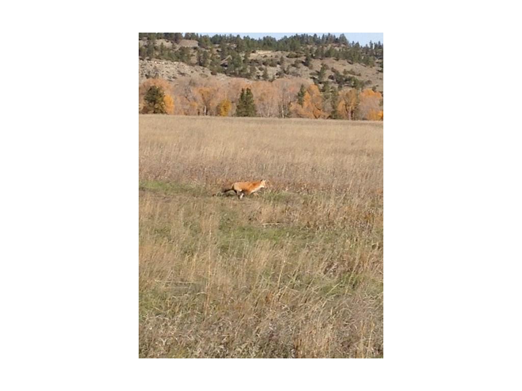 176 Balfour, Columbus, MT 59019