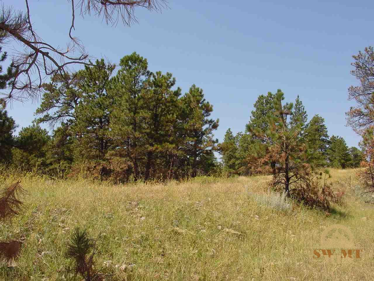tbd Pine Crest, Columbus, MT 59019