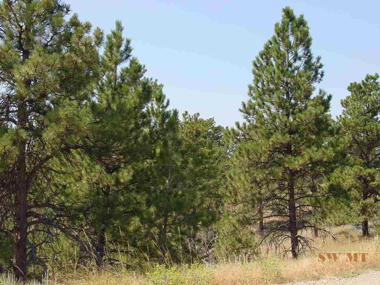 tbd Pine Crest, Columbus, MT 59019