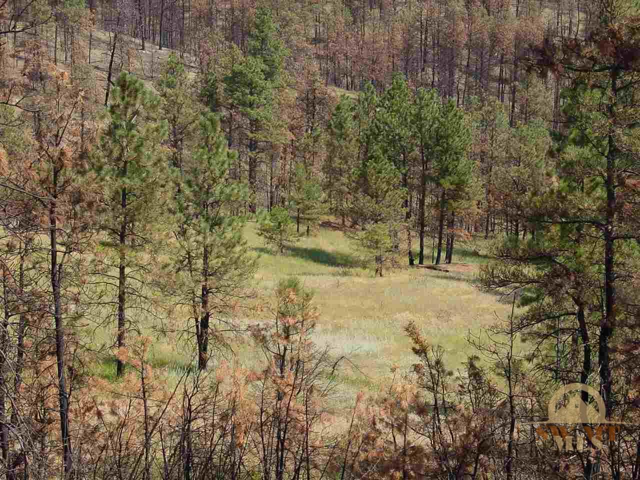 tbd Pine Crest, Columbus, MT 59019