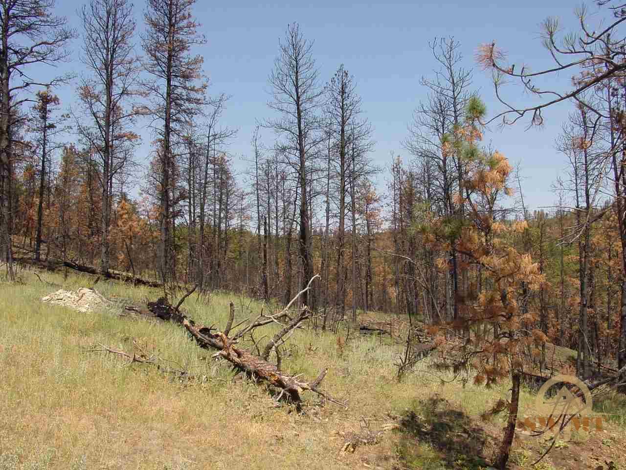 tbd Pine Crest, Columbus, MT 59019