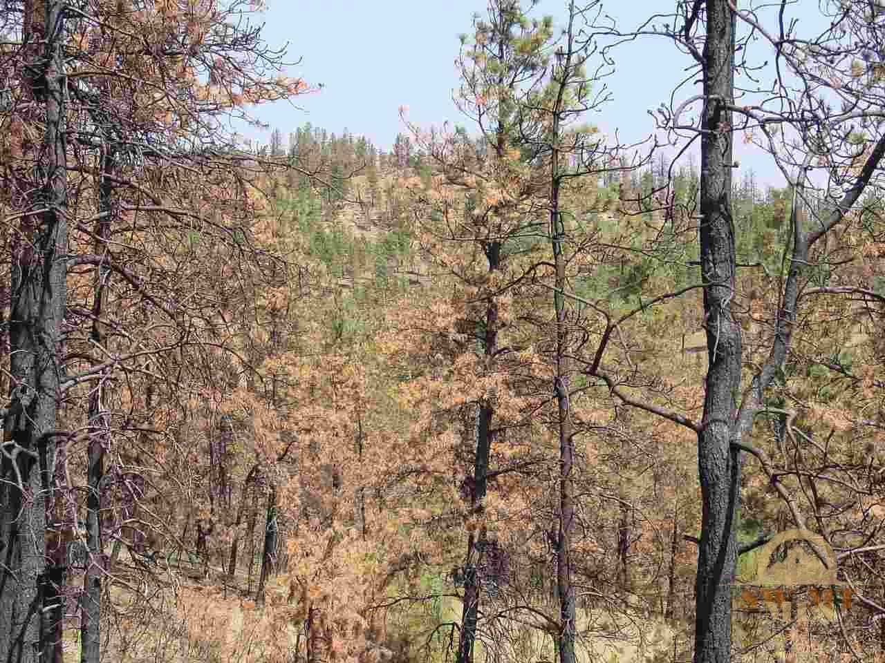 tbd Pine Crest, Columbus, MT 59019