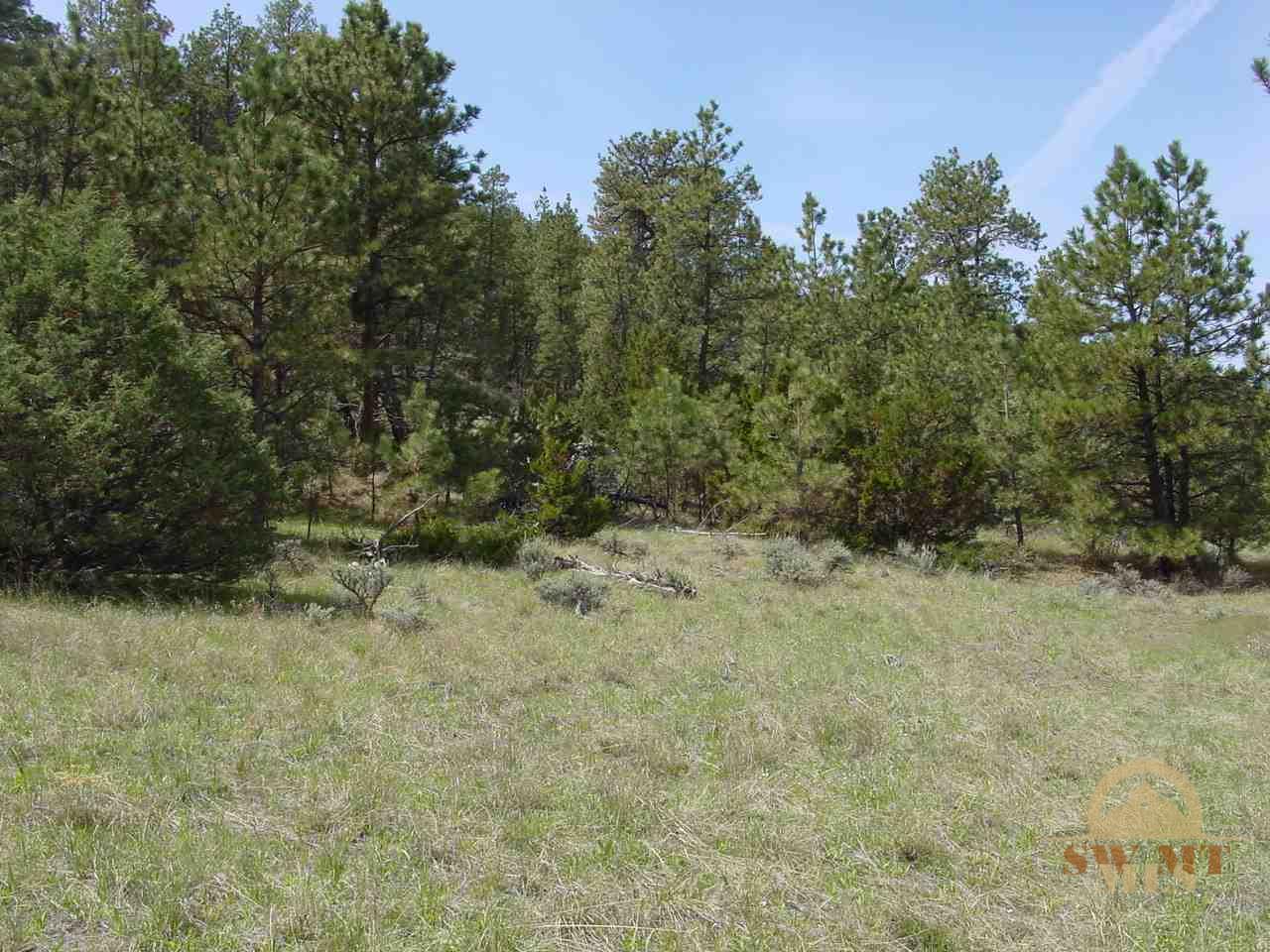 tbd Cougar, Columbus, MT 59019