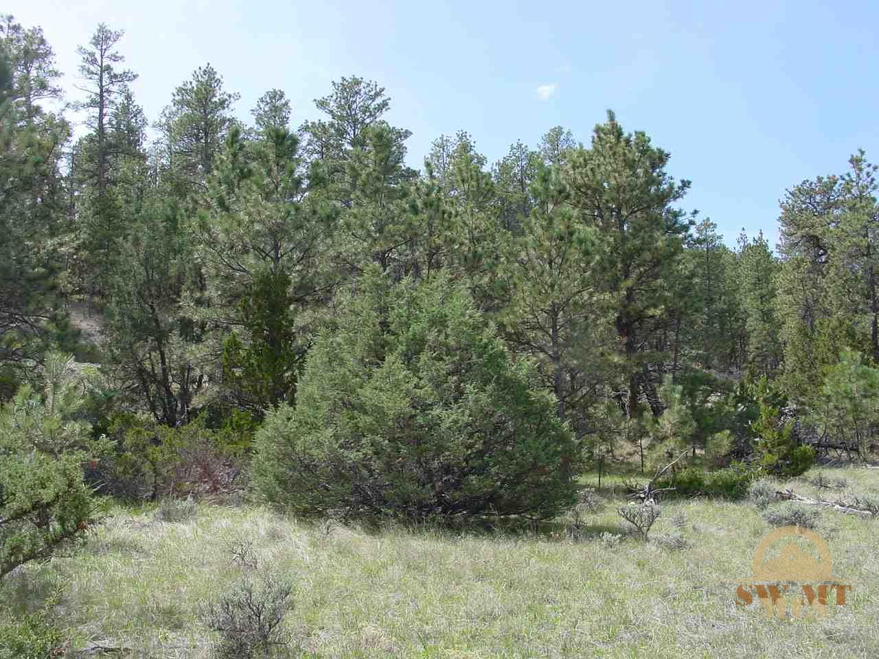 tbd Cougar, Columbus, MT 59019