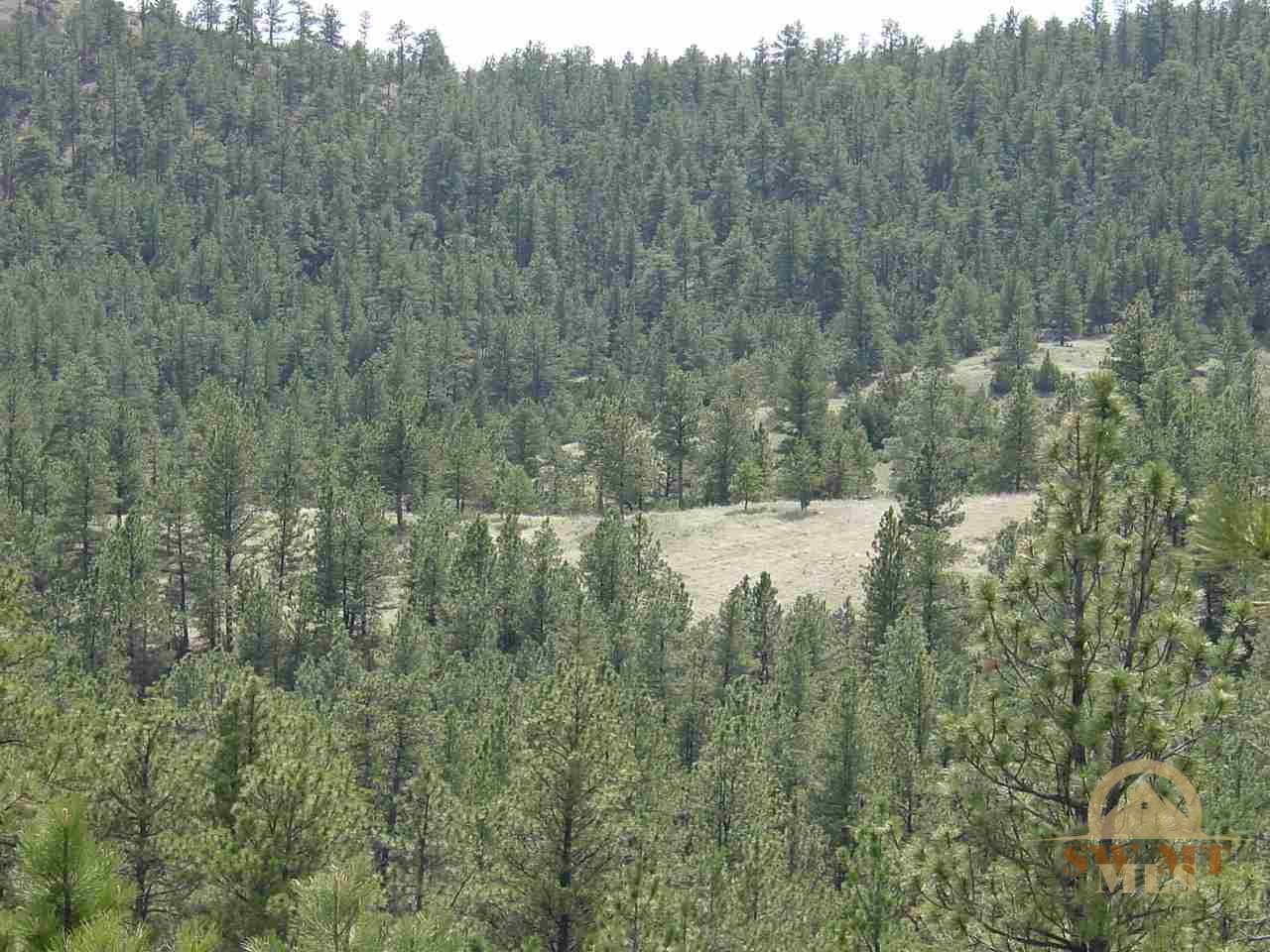 tbd Cougar, Columbus, MT 59019