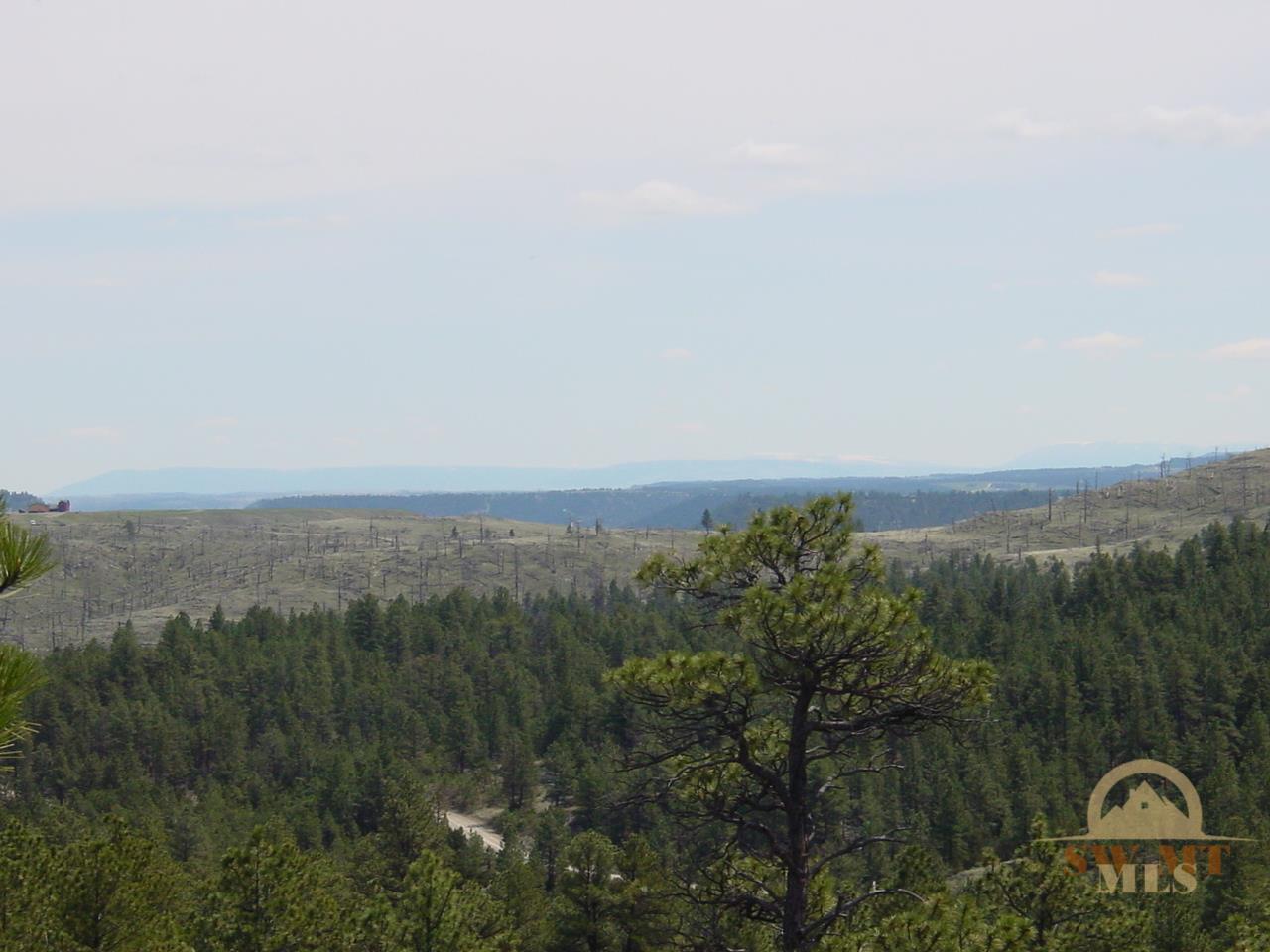 tbd Cougar, Columbus, MT 59019