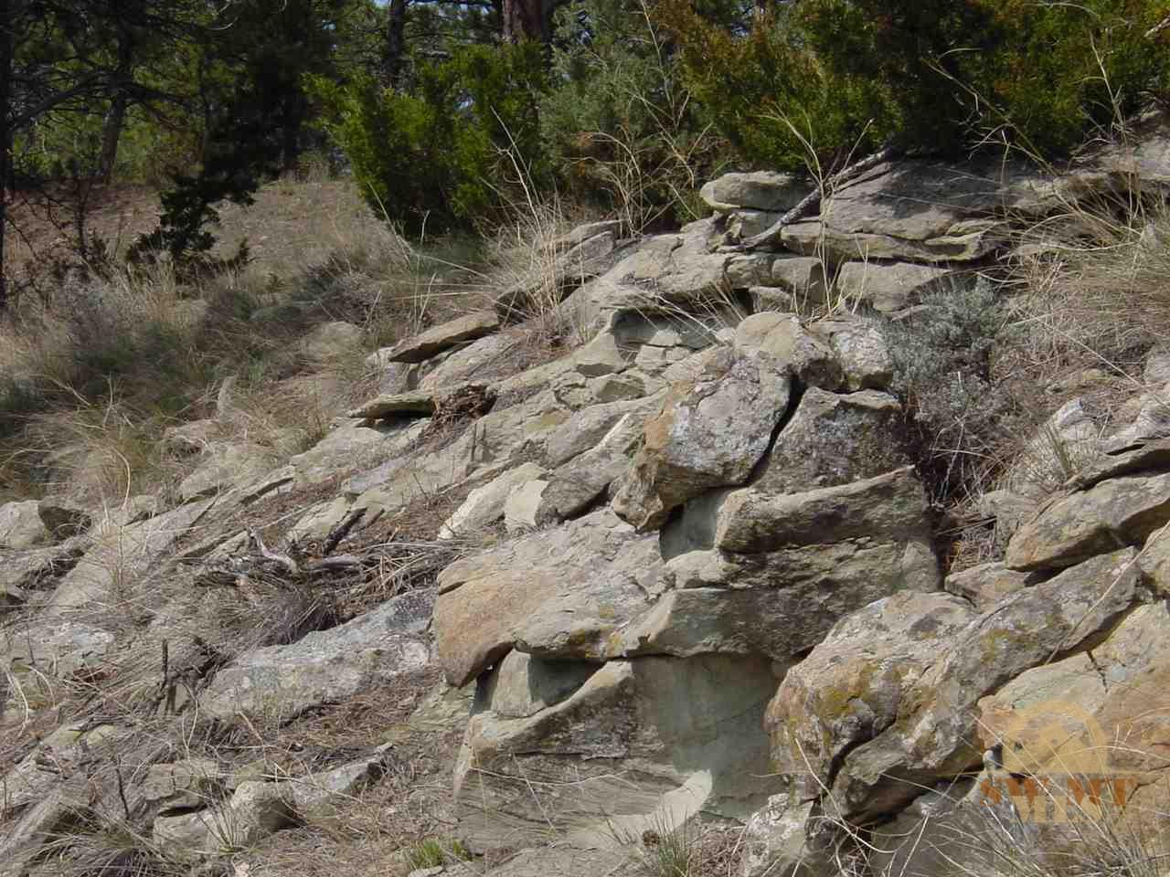 tbd Cougar, Columbus, MT 59019