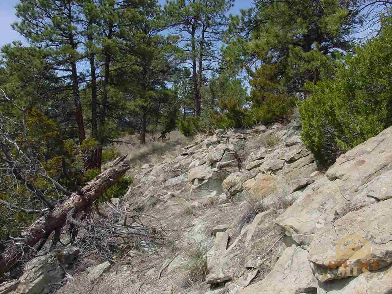 tbd Cougar, Columbus, MT 59019