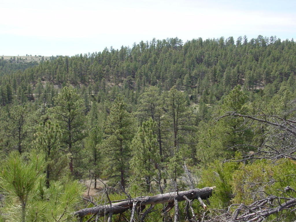 Lot 82 Yellowstone River Ranch, Columbus, MT 59019