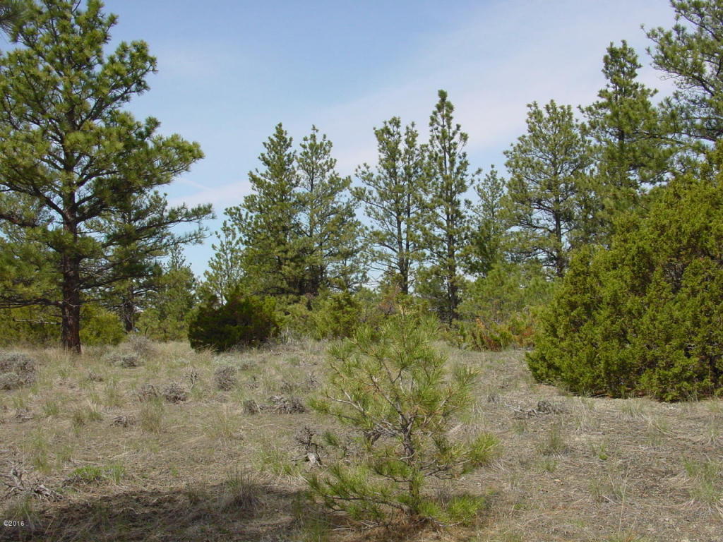 Lot 82 Yellowstone River Ranch, Columbus, MT 59019