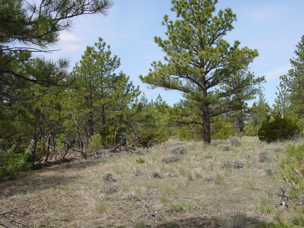 Lot 82 Yellowstone River Ranch, Columbus, MT 59019