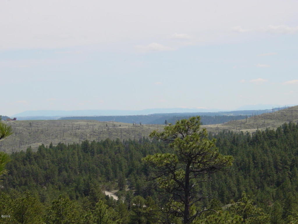 Lot 82 Yellowstone River Ranch, Columbus, MT 59019