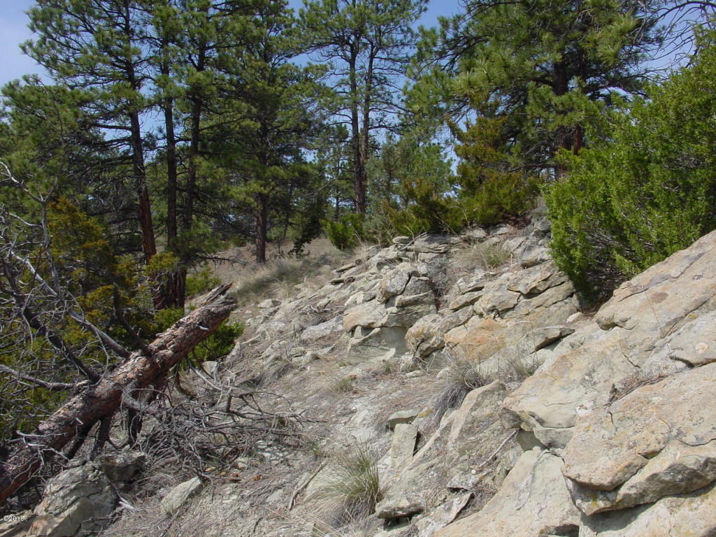 Lot 82 Yellowstone River Ranch, Columbus, MT 59019