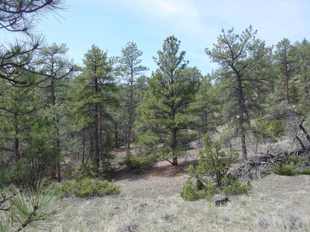 Lot 82 Yellowstone River Ranch, Columbus, MT 59019