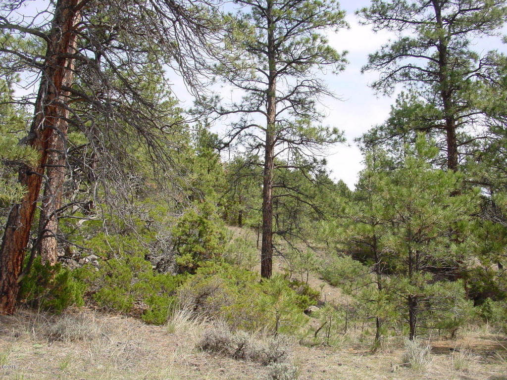 Lot 82 Yellowstone River Ranch, Columbus, MT 59019