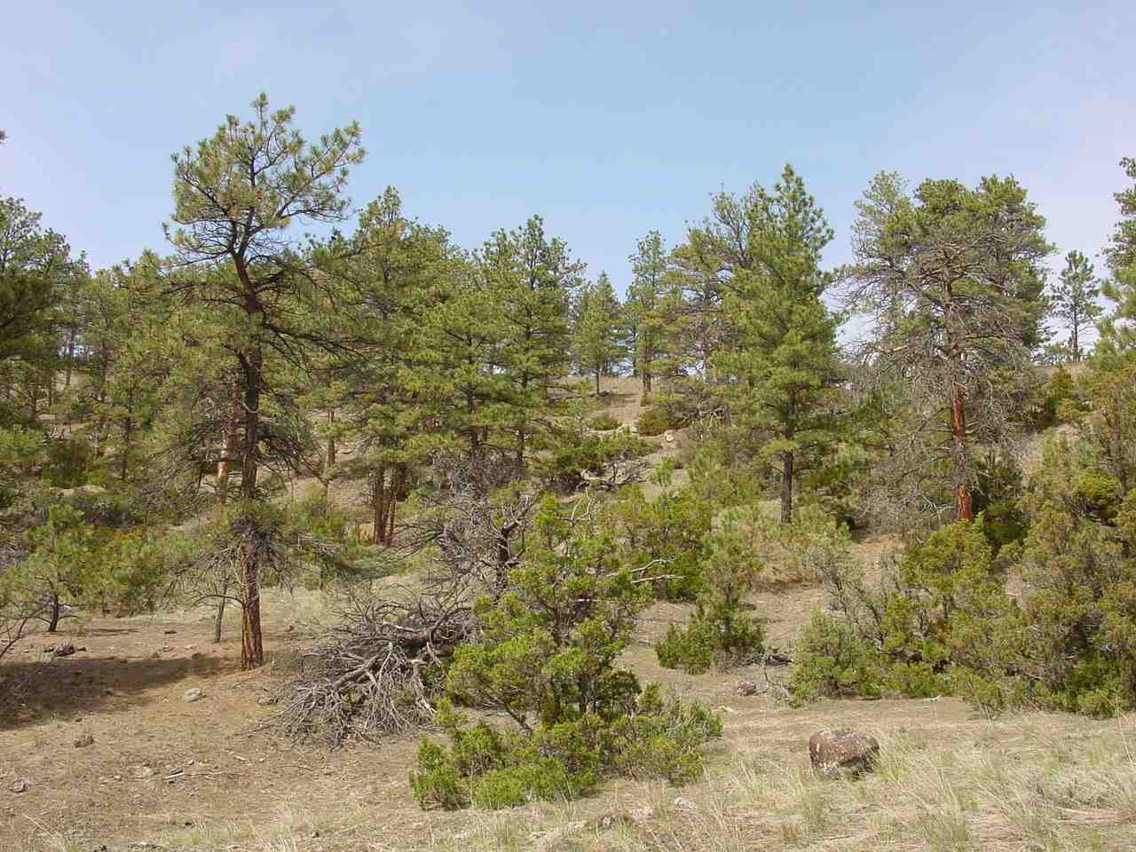Lot 82 Yellowstone River Ranch, Columbus, Other, MT 59019