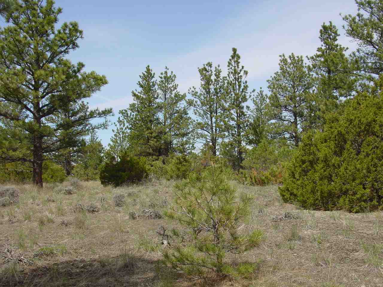 Lot 82 Yellowstone River Ranch, Columbus, Other, MT 59019
