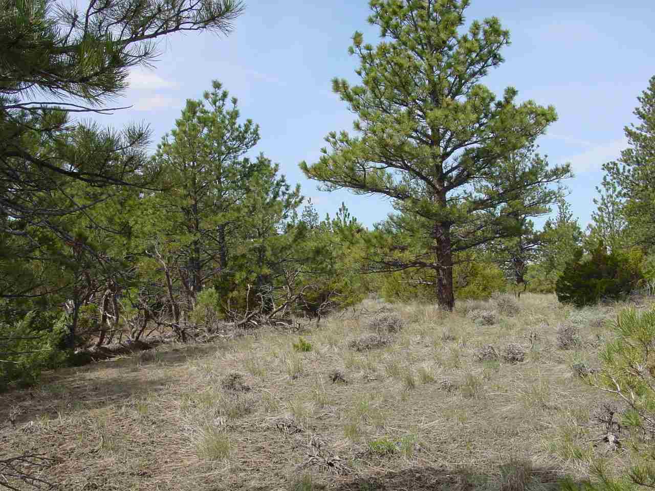 Lot 82 Yellowstone River Ranch, Columbus, Other, MT 59019