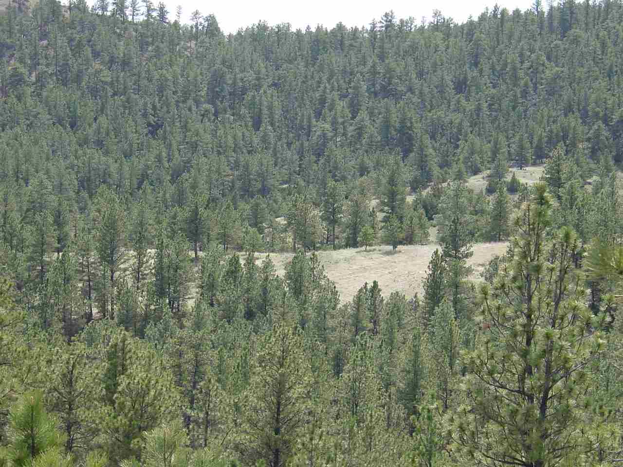 Lot 82 Yellowstone River Ranch, Columbus, Other, MT 59019