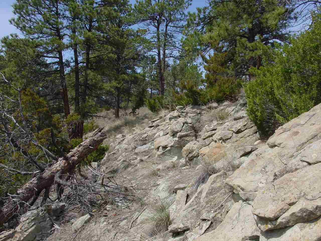 Lot 82 Yellowstone River Ranch, Columbus, Other, MT 59019