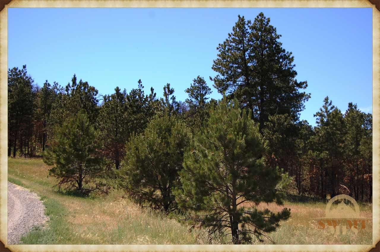 LOT 60 Turkey Run Ridge, Columbus, MT 59019