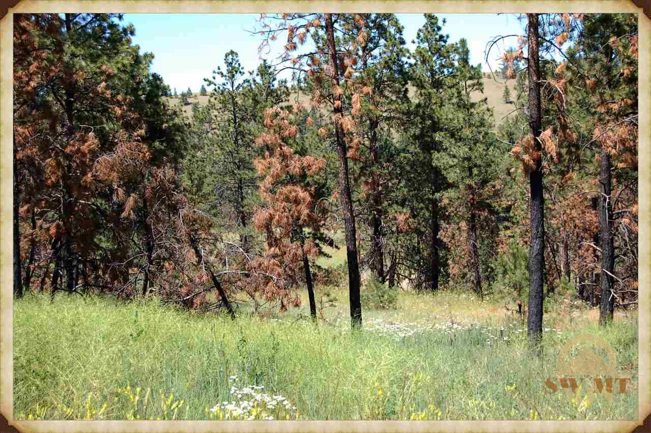 LOT 60 Turkey Run Ridge, Columbus, MT 59019