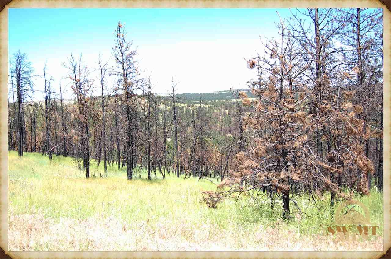 LOT 60 Turkey Run Ridge, Columbus, MT 59019