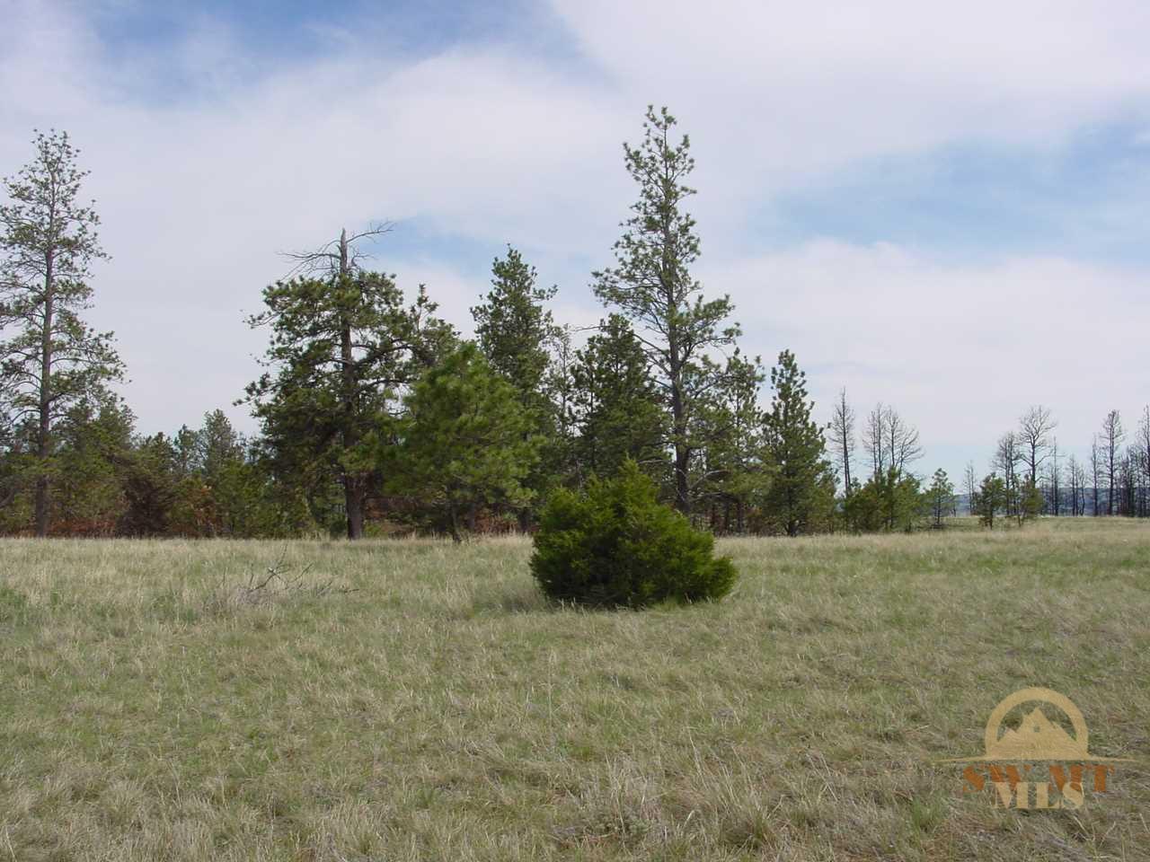 Lot 62 Pine Crest Ranch, Columbus, MT 59019
