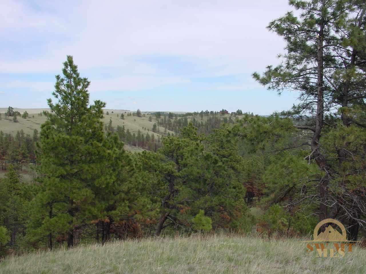 Lot 62 Pine Crest Ranch, Columbus, MT 59019
