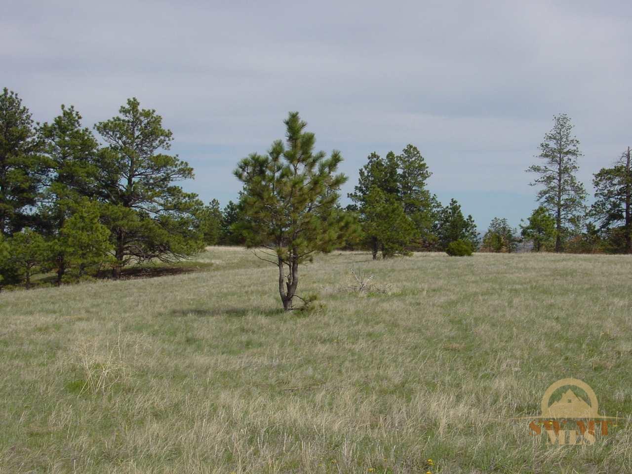 Lot 62 Pine Crest Ranch, Columbus, MT 59019