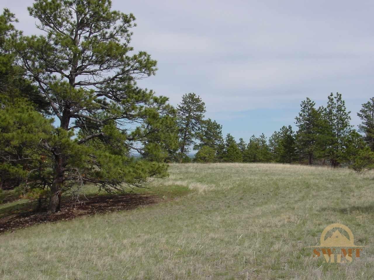 Lot 62 Pine Crest Ranch, Columbus, MT 59019