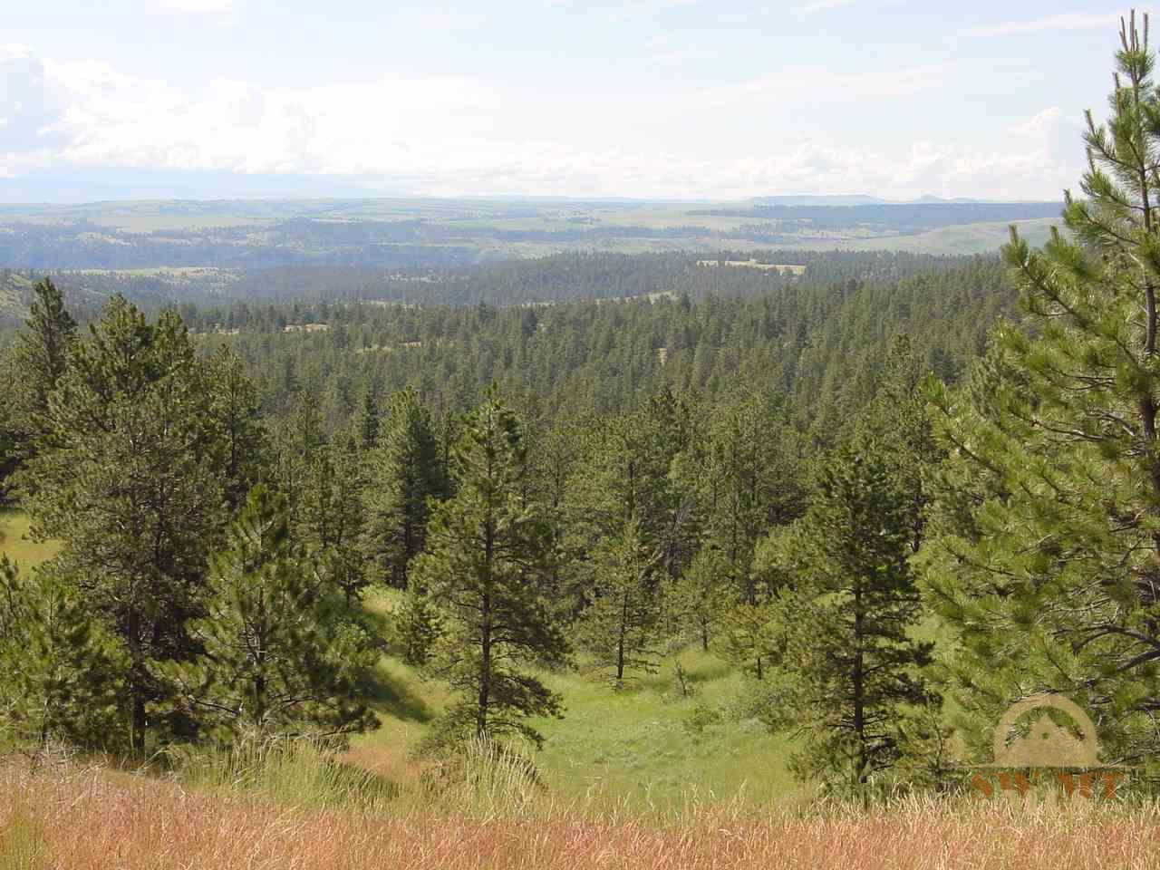 Lot 64 Pine Crest, Columbus, MT 59019