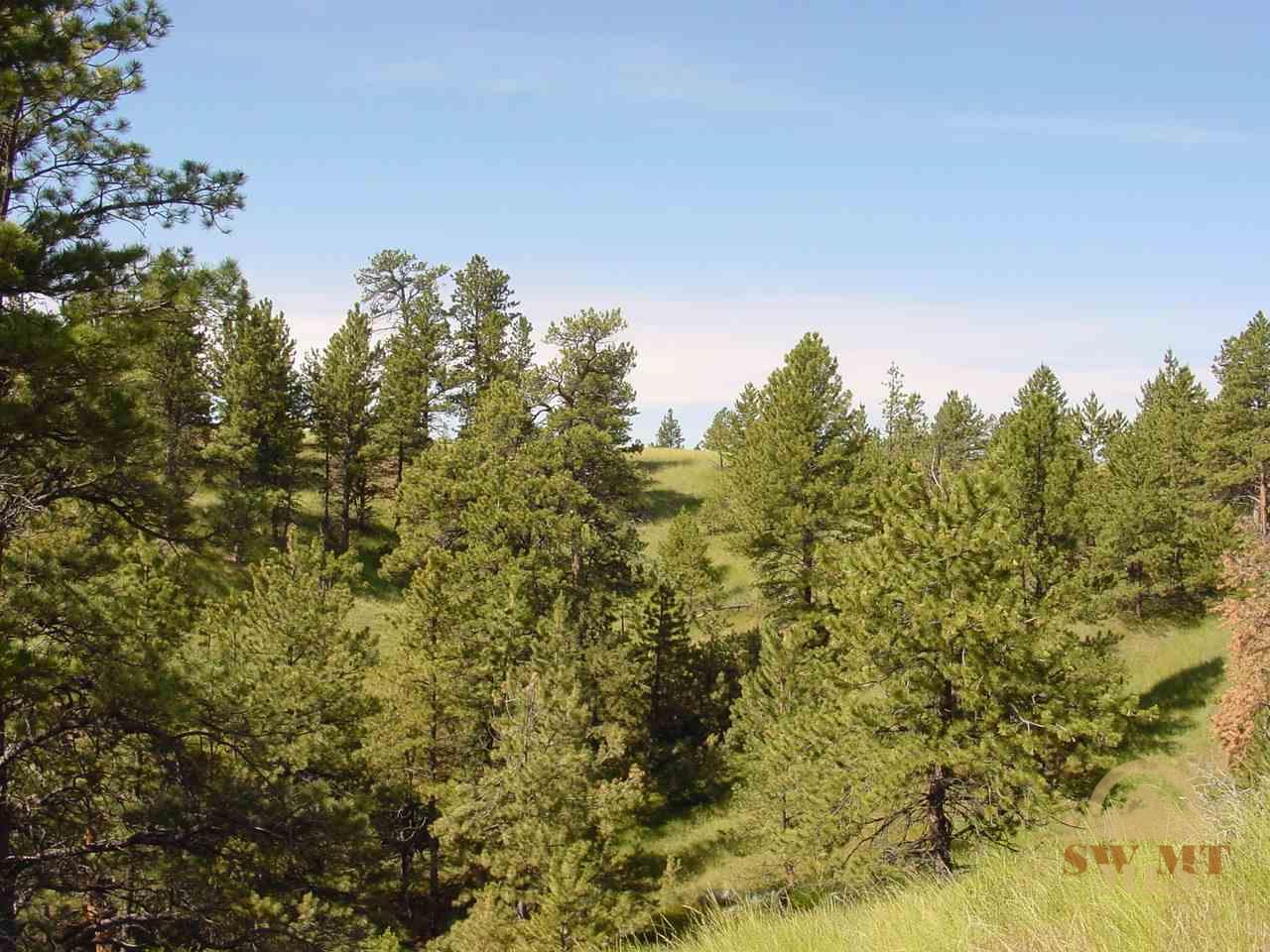 Lot 64 Pine Crest, Columbus, MT 59019