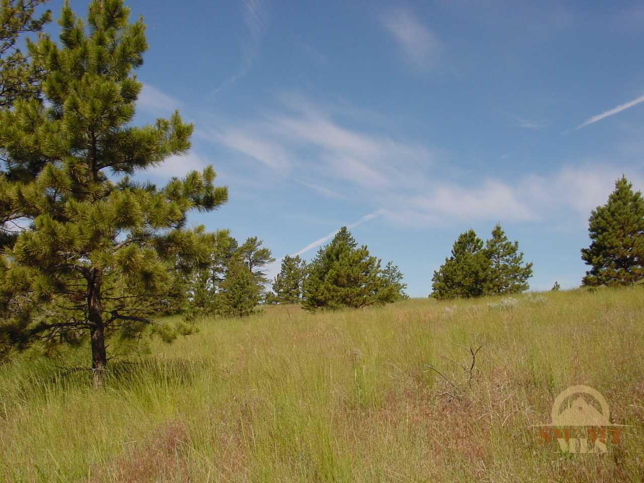 Lot 64 Pine Crest, Columbus, MT 59019