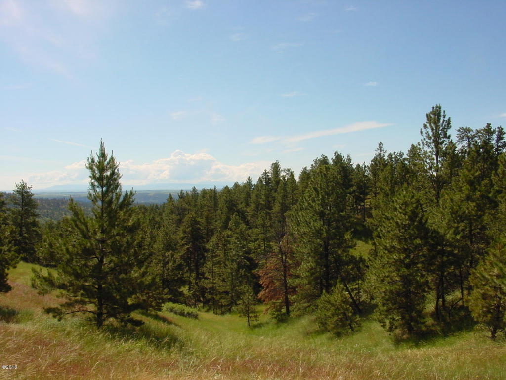 Lot 64 Pine Crest Road, Columbus, MT 59019