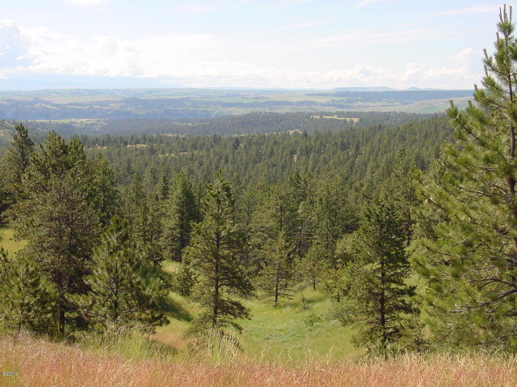 Lot 64 Pine Crest Road, Columbus, MT 59019