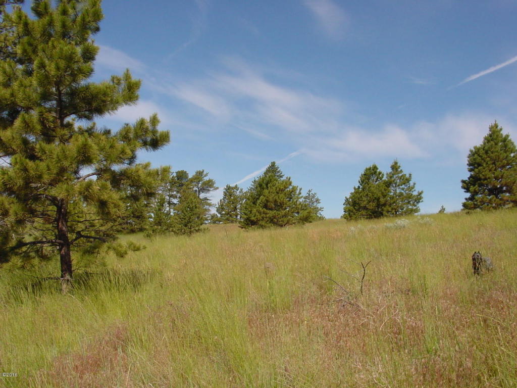 Lot 64 Pine Crest Road, Columbus, MT 59019