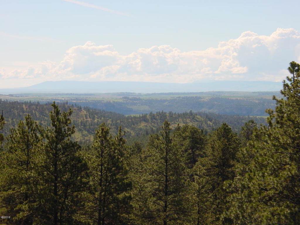 Lot 64 Pine Crest Road, Columbus, MT 59019