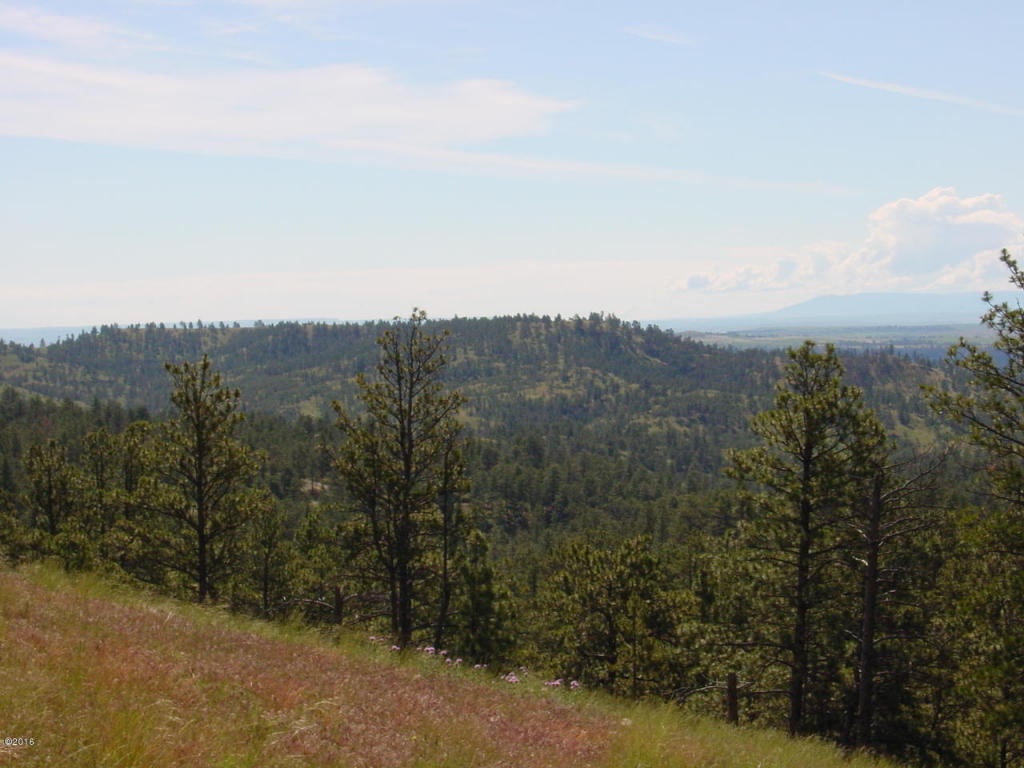 Lot 64 Pine Crest Road, Columbus, MT 59019