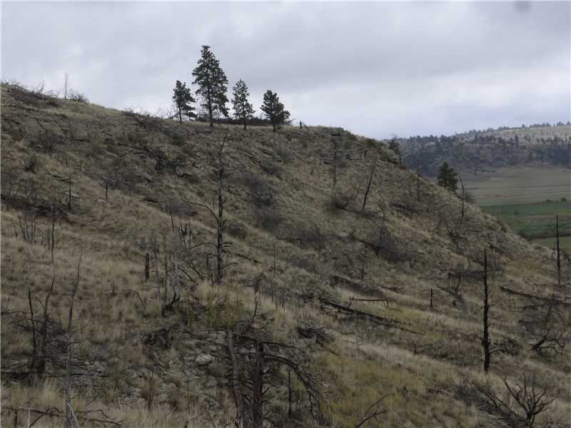 B COYOTE PASS, Columbus, MT 59019