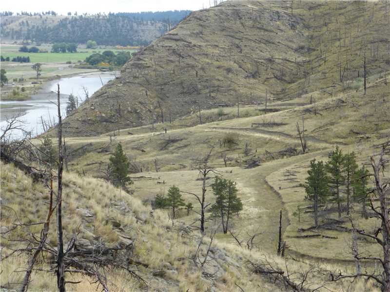 A COYOTE PASS, Columbus, MT 59019