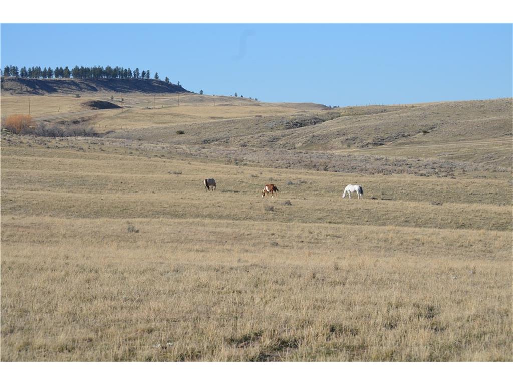 1437 A Highway 421, Joliet, MT 59041